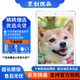 Apple蘋果 iPad Air1/Air2/Air3 迷你mini2/4/5 二手平板電腦ipad iPad Air1 16G WiFi版 9成新