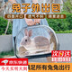 星舵兔子外出包寵物兔外帶便攜籠小寵龍貓手提包貓狗背包荷蘭豬旅行 愛寵航空包 M（5斤內(nèi)）