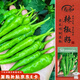 壽禾 樟樹港辣椒種子種苗湖南特辣秋季蔬菜籽 壽禾樟樹港辣椒種子15粒
