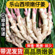 良知農(nóng)哥【順豐】四川樂山西壩嫩姜 新鮮嫩仔姜 可腌制泡子姜醋泡姜 2斤 泡沫箱 【嫩姜底部都會有絲哦】