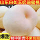 順豐現(xiàn)摘正宗蒙陰白玉大白桃新鮮水果桃子當(dāng)季脆甜水蜜桃毛桃整箱 5斤【順豐現(xiàn)摘】