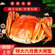 【活蟹】陽(yáng)澄行若大閘蟹鮮活 生鮮 活蟹特大螃蟹全母蟹水產(chǎn)禮盒 【精選】大閘蟹3.0-3.3兩8只
