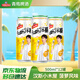 青島啤酒漢斯小木屋菠蘿啤果啤菠蘿風(fēng)味啤酒 整箱裝 500mL 12罐