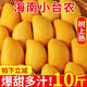 星派果（XINGPAIGUO）正宗海南小臺(tái)芒果10斤新鮮現(xiàn)摘熱帶當(dāng)季小雞蛋芒果 黃芒果水果 小臺(tái)芒  精選帶箱9-10斤大果
