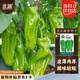 北蔬 薄皮辣椒種子種苗大果微辣四季蔬菜種籽 北蔬薄皮皺椒種子100粒
