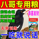 八哥幼崽飼料毛不拉稀小雛鳥鷯哥說話鳥糧八哥亮畫眉鸚鵡營養(yǎng)食物 1袋【500g】