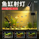 魚缸燈南美缸射燈led燈小型造景觀賞燈變焦燈原生溪流缸燈南美燈 升級(jí)款[調(diào)亮度/調(diào)焦/黃白三色變光] 6.8W【30-60cm缸用】