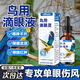 鸚鵡單眼傷風(fēng)眼藥水眼睛結(jié)膜炎病牡丹玄鳳八哥流淚腫脹專用滴眼液 一滴靈