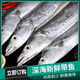 【順豐包郵】東海整條帶魚整條新鮮冷凍整箱帶魚東海 整條5斤【每斤1/2條】