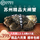 【活蟹】陽(yáng)澄姐妹大閘蟹 鮮活特大螃蟹公蟹母蟹 海鮮水產(chǎn)生鮮禮盒 精品六月黃3.5-3.8兩 八只禮盒裝
