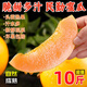 黃六爺 甘肅民勤蜜瓜9斤沙漠黃河蜜瓜甜瓜新鮮水果哈密瓜應(yīng)當(dāng)季香金紅寶 【整箱2-3斤】精品瓜1個(gè)裝