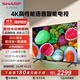 夏普（SHARP）電視 50/55/65/75英寸XT-Lite畫(huà)質(zhì)引擎4K護眼2+32G全面屏語(yǔ)音智能網(wǎng)絡(luò )液晶電視機 50英寸 4T-C50GK5000A 【官方標配】底座支架/送固定掛架/高清線(xiàn)/