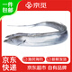 京覓舟山小眼睛海釣帶魚(yú)4-6兩/條 3斤 舟山帶魚(yú)京東自營(yíng) 漁民海釣海鮮