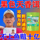 龍王恨果色天香餌料2025新款釣魚(yú)餌料夏季野釣鯽鯉草鳊魚(yú)免打窩通殺餌料 一袋【大魚(yú)狂開(kāi)口】