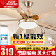 鉆石牌風(fēng)扇燈一體吸頂燈吊扇燈餐廳風(fēng)力大客廳電扇燈北歐風(fēng)帶風(fēng)扇的燈 42寸五葉變頻遙控-吊桿