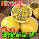 百香果黃金果當(dāng)季時(shí)令欽蜜9號(hào)黃金百香果節(jié)日送禮水果老樹百香果 3斤【單果40-60g】凈重2.5斤 【新鮮采摘】
