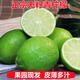 田果匠皮薄無(wú)籽檸檬（現摘現發(fā)）泰國品種青檸檬香水榨汁鮮果奶茶店專(zhuān)用 5斤