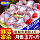 柒島大鵝生鮮整只鵝肉大白鵝老鵝新鮮農(nóng)家散養(yǎng)土鵝烤鵝煲湯紅燒批發(fā) 【人多另加】鵝胗1斤