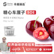 sinloy辛鹿氮冷糖心車(chē)厘子1.0 肯尼亞/埃塞 手沖咖啡豆源頭直發(fā)18g*14條