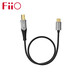 飛傲（FiiO）LD-LT1/LD-TC1方口USB轉安卓Type-C蘋(píng)果Lightning轉接線(xiàn) LD-TC1（USB方口轉Type-C）