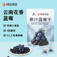 漠興北緯五十二度1號店果汁藍莓干 250g休閑零食品 辦公室追劇 蜜餞果脯水果干