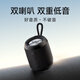 朗琴（ROYQUEEN） M350便攜式藍牙音箱戶外重低音炮FM收音機迷你小型音樂播放器高音質(zhì)大音量防水無線小音響 魅惑黑 官方標配 充電線+音頻線+掛鉤