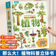 那么大立體書(shū)植物 兒童3D立體書(shū)3-6-8-10歲以上小學(xué)生科普百科全書(shū)科普互動(dòng)推拉翻翻書(shū)一二年級課外閱讀書(shū)籍幼兒園繪本生日節日禮物女孩男孩 青葫蘆 