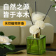 空間密碼盛宏天香薰室內(nèi)持久家用希爾頓全季香格里拉高級干酒店香氛精油 梔子花（還原梔子花香） 正裝200ML