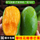 攀枝花椰香芒攀研二號(hào)當(dāng)季新鮮芒果熱帶水果 5斤特大果（10個(gè)以內(nèi)）