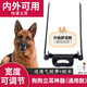 星舵狗狗立耳器德牧立耳貼杜賓犬耳朵輔助豎耳神器黑狼犬青柯基幼犬矯 通用狗狗立耳神器（配專用膠水+膠帶）
