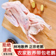 十里饞散養(yǎng)大白鵝兩年農(nóng)家?guī)О簌Z三年散養(yǎng)老鵝現(xiàn)殺新鮮鵝肉燉鵝肉食材 兩年帶包老鵝【殺后6斤左右】