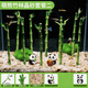 臨雅魚缸水培植物富貴竹竹林造景新手水草缸四季常綠水養(yǎng)盆栽水生綠植 竹林水晶砂套餐二(40缸推薦)