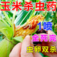 岷江玉米殺蟲專用藥鉆心螟蟲劑專打青蟲紅蜘蛛薊馬蚜蟲卵雙殺農(nóng)藥大全 玉米殺蟲劑紅蜘蛛農(nóng)藥鉆心蟲1瓶