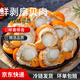 特大號扇貝肉櫛孔貝無(wú)冰衣新鮮熟凍扇貝貝類(lèi)海鮮批發(fā) 特大號扇貝肉20-40個(gè)/斤 無(wú)冰衣2斤裝