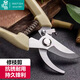 墨斗魚(yú)園藝剪刀 剪樹(shù)枝剪 園藝工具花藝果樹(shù)綠蘿花卉修剪樹(shù)枝剪刀1022