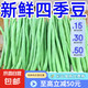 高山四季豆新鮮應(yīng)季蔬菜豆角豆青現(xiàn)摘現(xiàn)發(fā)炒熟食用京東物流 帶箱1斤