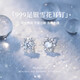 戚小米999足銀雪花耳釘女2025新款百搭純銀耳環(huán)輕奢高級感養(yǎng)耳洞耳飾品 【999足銀】雪花耳釘【直針款】