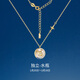 希念紀(jì)十二星座項鏈女夏吊墜輕奢小眾2025新款鎖骨鏈生日禮物送女友 【1.20-2.18】水瓶座_證書_輕奢
