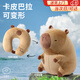 奴風卡皮巴拉兩用枕二合一可變形玩偶旅行U型枕學生女生日禮物公仔 卡皮巴拉兩用枕【可變形】