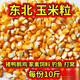 新東北大玉米粒10斤喂雞鴨鴿子糧釣魚(yú)釀酒新糧干玉米粒鴿子糧 精選干玉米粒(10斤裝)國儲標準