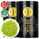 樂品樂茶綠茶頭采芽毛尖特級2025新茶明前嫩芽高端茶葉禮盒走親訪友伴手禮