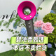 華強(qiáng)北頂配森系【華強(qiáng)北1:1頂配丨國家3C認(rèn)證】高速無葉宿舍酒店風(fēng)筒 【玫紅色】20億負(fù)離子＋恒溫護(hù)發(fā) 【中規(guī)】高品質(zhì)-1.8米線-單嘴靜