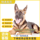 嘉瑰純種德國(guó)牧羊犬活體狗德牧幼犬狗警犬德系黑背狼狗弓背大型寵物狗 血統(tǒng)級(jí) 公