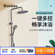 過(guò)江龍頂噴衛浴淋浴器花灑套裝全套家用噴頭增壓明裝全銅衛浴室TH8010 槍灰色TH8010Q