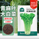 北蔬 青麻葉白菜種子苗直筒長白菜秋季蔬菜種籽 天津綠白菜種子2000粒