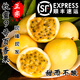 東方初辛正宗欽蜜9號百香果 新鮮現摘 果園直發(fā) 30-40g（中小果） 凈重9斤