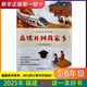 2025年福建省暑假讀一本好書5-6年11本任選 高鐵開到我家鄉(xiāng) 福仔的船 羌塘沒有樹 閩在海中 小霞客西南游 天臺夢想家 五月的天空 高鐵開到我家鄉(xiāng)