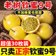 果益壽廣西欽蜜9號(hào)黃金百香果 新鮮水果白香果醬原漿整箱 超值30枚裝【單果30g以下】