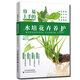 容易上手的水培花卉養護+家庭觀(guān)賞植物種植綠色種植多彩享受美麗看得見(jiàn)知識學(xué)到手鑒賞養護兩不誤新手入門(mén)零基礎自學(xué)教程大全圖解步驟詳解實(shí)用技巧暢銷(xiāo)書(shū)籍推薦 容易上手的水培花卉養護 無(wú)規格