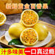 廣西現(xiàn)摘頭茬黃金百香果  爆甜多汁應(yīng)季水果整箱現(xiàn)發(fā) 40個裝 單果30g以下